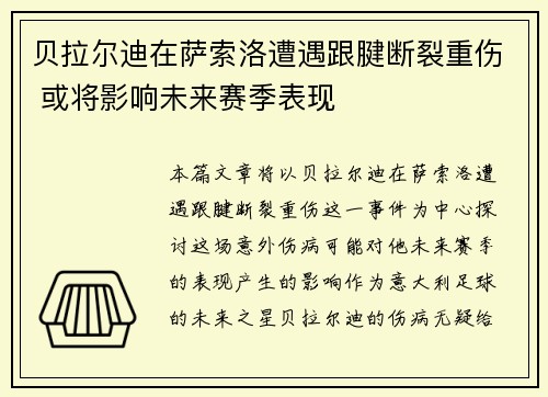 贝拉尔迪在萨索洛遭遇跟腱断裂重伤 或将影响未来赛季表现 贝拉尔迪在萨索洛遭遇跟腱断裂重伤 或将影响未来赛季表现